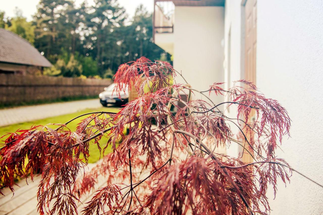 Urlop Przy Wydmach Lägenhet Międzywodzie Exteriör bild